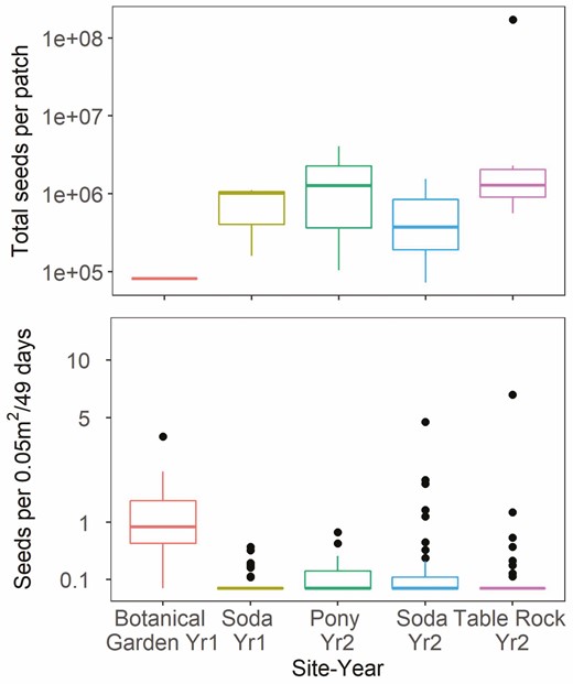 Box plots of the estimated total available seeds per patch (fecundity × number of reproductive plants) across sites (top) and number of seeds across traps of all distances caught per 0.05 m2 trap area standardized by 49 days deployed (bottom). The graphs do not include under-crown traps. The unit of measure for the top graph is a patch (n = 19) and the unit of measure for the bottom graph is a trap (seed counts aggregated across heights, n = 273). Alkie was excluded due to seed crop failure and no seeds trapped.