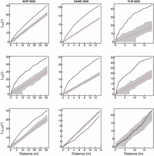 Spatial intra-cytotype aggregation patterns of 2x and 4x cytotypes of Centaurea stoebe (first two rows), and spatial inter-cytotype interactions (the third row) in three mixed-ploidy populations surveyed in 2020. Values of the L(r)-function are depicted by a thick continuous line, while grey denotes the 95 % confidence intervals. L(r) values larger than the upper confidence limit in the two first rows indicate significant intra-cytotype aggregations of 2x and 4x plants at the particular distance of r. The third row of plots shows pairwise inter-cytotype associations, where values of the bivariate L2x,4x(r)-function are shown by a thick continuous line. L2x,4x(r) values larger than the upper confidence limit indicate a positive inter-cytotype association, values smaller than the lower confidence limit indicate a negative association and finally, L2x,4x(r) values within confidence intervals indicate a neutral association.