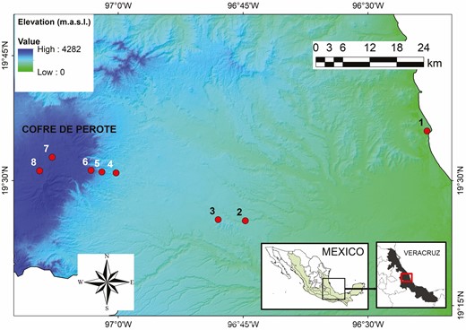 Study area along the elevational gradient at the eastern slopes of the Cofre de Perote mountain, Veracruz, Mexico. Dots show the location of the eight sites.