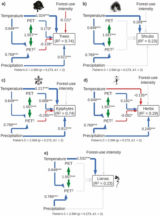 Structural equation models showing direct and indirect effects of predictor variables on species richness by plant life form (A: trees, B: shrubs, C: epiphytes, D: herbs and E: lianas). For all paths of the path model, arrow width is proportional to the relative strength of standardized path coefficients. The coefficients are shown on the arrows, if they are not there it means that they were not significant. Significances are *P < 0.05, **P < 0.01 and ***P < 0.001. Silhouettes represent plant life forms from PhyloPic (phylopic.org).