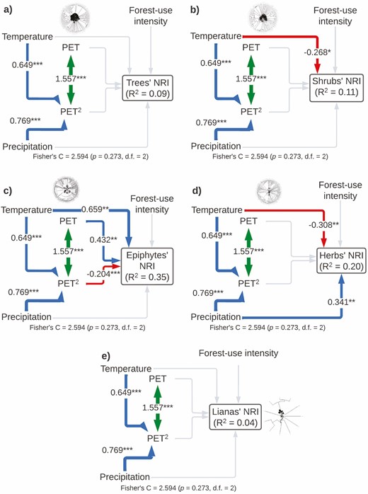 Structural equation models showing direct and indirect effects of predictor variables on near relatedness index by plant life form (A: trees, B: shrubs, C: epiphytes, D: herbs and E: lianas). For all paths of the path model, arrow width is proportional to the relative strength of standardized path coefficients. The coefficients are shown on the arrows, if they are not there it means that they were not significant. Significances are *P < 0.05, **P < 0.01 and ***P < 0.001. Silhouettes represent plant life forms from PhyloPic (phylopic.org).