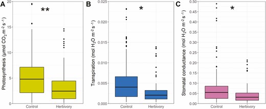 Gas exchange response to treatments (Control and Herbivory, i.e., simulated vein damage) aggregated across all species, for A) net photosynthesis; B) transpiration; C) stomatal conductance. P-values obtained through generalized least squares with phylogenetic correlation structure, where asterisks show the effect of treatments within each species (**P < 0.01, *P < 0.05).