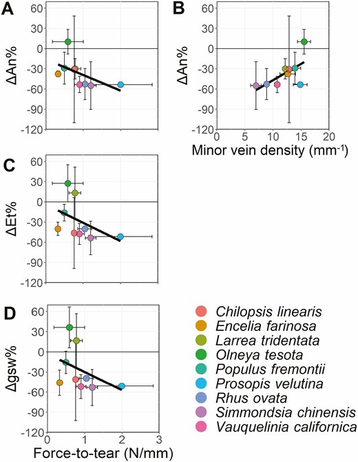 Significant linear relationships of mean responses to damage of photosynthesis (ΔAn%, A, B), transpiration (ΔEt%, C) stomatal conductance (Δgsw%, D) to force-to-tear and minor vein density. The remaining trait relationships were all non-significant. See Supporting Information—Fig. S10 for full panel of linear regressions, and Table 3 for complete statistical results.
