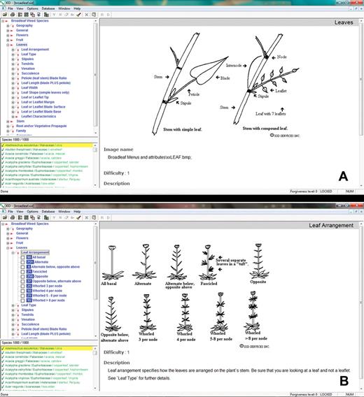 image use in field guides and identification keys review and