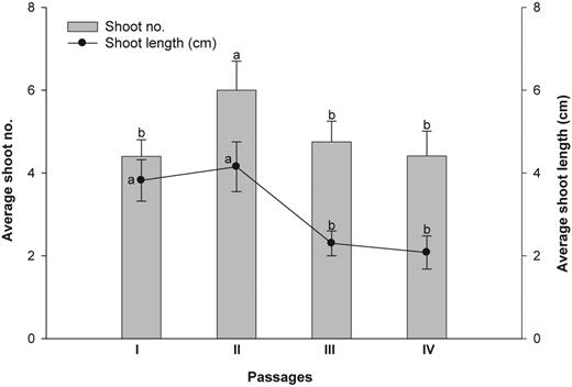 Shoot multiplication by repeated transfer of mother explant for different passages on MS + 1.0 mg L−1 BAP + additives. Mean values sharing the same letter do not differ significantly (P < 0.05) according to DMRT.