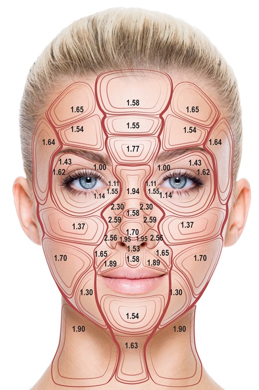 Comprehensive Examination of Topographic Thickness of Skin in ...