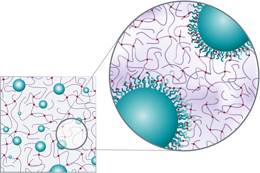 Microsphere-enhanced silicone gel. Integration of silicone gel cross-linked to borosilicate microspheres yields a reinforced gel. The magnified segment shows the high cross-linking density at the surface of the microspheres, resulting in a microsphere-gel adhesion strength exceeding the gel's internal strength of cohesion. Even in the unlikely event of rupture, microspheres will remain bound within the gel and will not disperse. Reprinted with permission from G&G Biotechnology Ltd., Haifa, Israel.