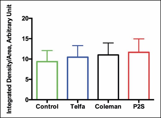 Semiquantitative analysis of immunofluorescence density performed with ImageJ software.