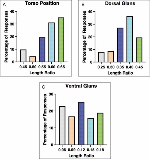 (A) Bar graph representing the preferred ratio for the position of the penis on the torso: 45% (gray), 50% (peach), 55% (dark blue), 60% (light blue), 65% (green). (B) Bar graph representing the preferred ratio of the dorsal glans: 25% (gray), 30% (peach), 35% (dark blue), 40% (light blue), 45% (green). (C) Bar graph representing the preferred ratio of the ventral glans: 6% (gray), 9% (peach), 12% (dark blue), 15% (light blue), 18% (green). Percentages for all charts designate the percentage of total survey respondents who indicated the given ratio was the most aesthetically pleasing.