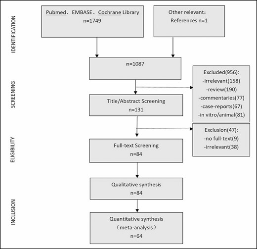 Flowchart of the search strategy.