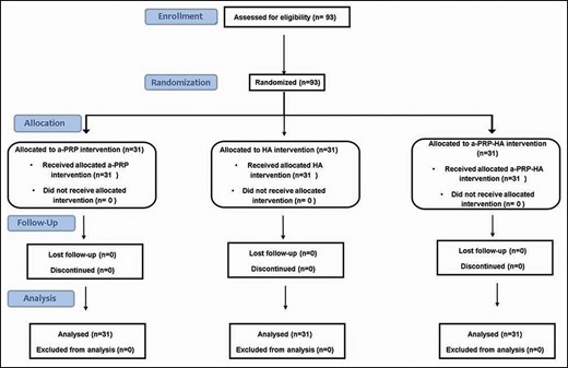 CONSORT diagram of participant recruitment and flow.