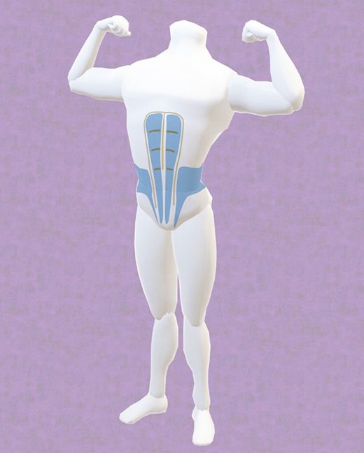 Abdominal etching (blue, debulking; yellow, superficial fat liposculpting).