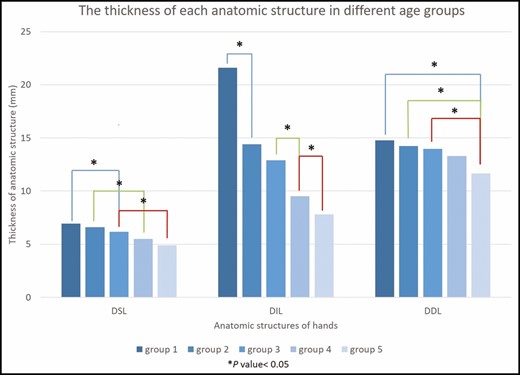 The thicknesses of the three fatty laminae in different age groups after one-way analysis of variance post-hoc test. Age groups: Group 1, 20 to 30 years; Group 2, 31 to 40 years; Group 3, 41 to 50 years; Group 4, 51 to 60 years; Group 5, >60 years. DDL, dorsal deep lamina; DIL, dorsal intermediate lamina; DSL, dorsal superficial lamina.
