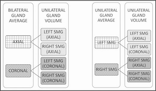 Dependent variables used for statistical analysis. Both left and right gland volumes were measured from axial and coronal imaging. The measured volumes were then used to calculate a bilateral gland average from the left and right volumes measured from axial and coronal images. A unilateral gland average was derived from the volume measured from axial and coronal images of the same gland.