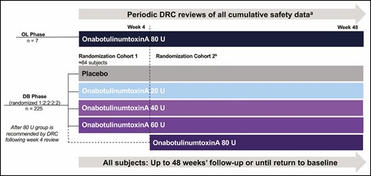 Study design. aPeriodic DRC reviews were conducted when ≥7 subjects in the OL onabotulinumtoxinA 80-U group completed Weeks 2 and 4 visits, as well as monthly visits throughout the DB phase. bFollowing review of Week 4 OL data, the DRC recommended whether subjects should be enrolled in the DB randomization cohort 2, which included an onabotulinumtoxinA 80-U group. Subjects were randomized according to a computer-generated randomization scheme obtained from an interactive web response system. DB, double-blind; DRC, data review committee; OL, open-label.