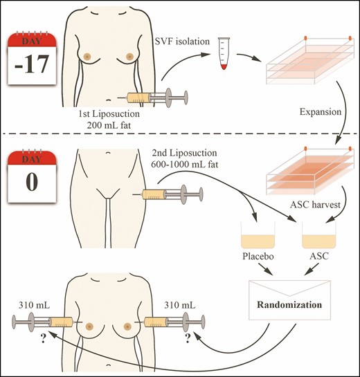 An illustration of the paired study design and randomization process.