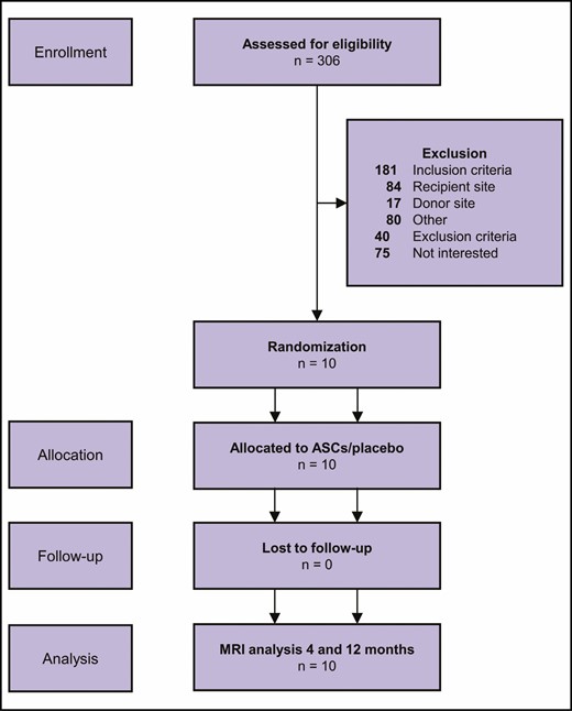 Flowchart of the screening process according to the CONSORT guidelines.