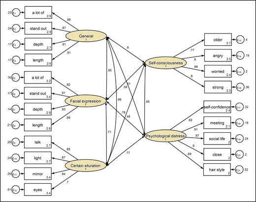 Confirmatory factor analysis.