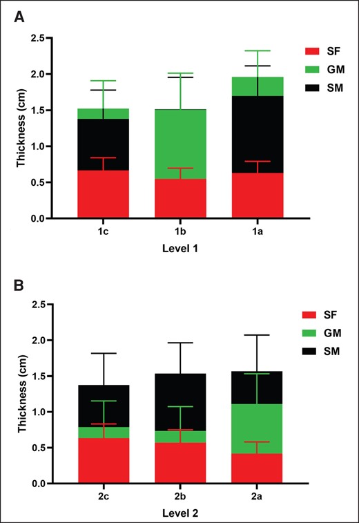 Distribution of subcutaneous fat (SF), gastrocnemius muscle (GM), and soleus muscle (SM) at different levels and points. Thickness proportions of SF, GM, SM at (A) Level 1 (in Figure 1: 1c, 1b, 1a); and (B) Level 2 (in Figure 1: 2c, 2b, 2a).