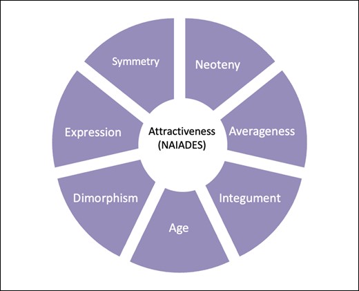 Biological criteria influencing facial attractiveness (NAIADES; neoteny, averageness, integument, age, dimorphism, expression, and symmetry).