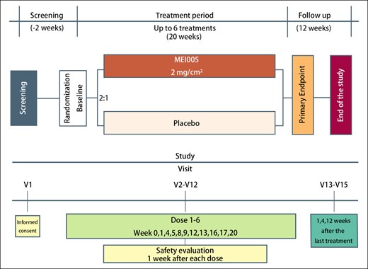 Diagram outlining the study design.
