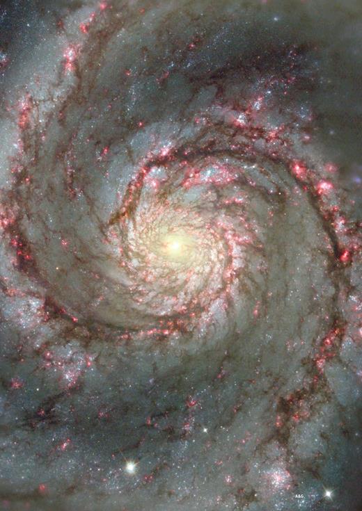 M51, the Whirlpool galaxy, in detail in this Hubble Space Telescope image, which shows the spiral arms and dust clouds, which are the birth sites ofmassive and luminous stars, picked out in red.(NASA and the Hubble Heritage team, StScI/AURA; N Scoville, Caltech and T Rector, NOAO)