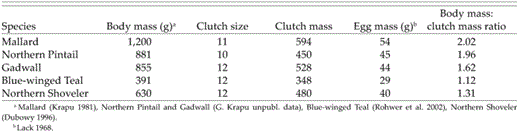 Prelaying body mass in relation to average mass of initial clutch and the body mass:clutch mass ratio for five species of temperate-nesting dabbling ducks.
