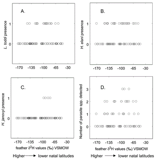 Relationship between feather δD values and prevalence of (A) L. toddi, (B) H. elani, and (C) H. janovyi infections in migrating hatching-year Sharp-shinned Hawks (0 = no detection of parasites; 1 = parasite detected). (D) Relationship between feather δD values and total number of hematozoa species detected. Feather δD values were generated by stable-hydrogen isotope analyses (see text) and are reported in parts per thousand (‰), VSMOW.