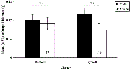 Arthropod biomass (mean ± SE) for Bedford (z = −0.6, P = 0.54, n = 234) and Skycroft (z = −1.1, P = 0.29, n = 233) clusters sampled from 3 May to 30 June 1999 (112,045 arthropods).