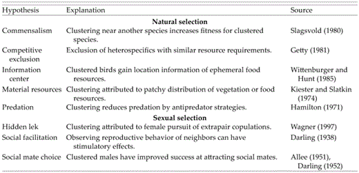Eight hypotheses for clustered breeding in territorial animals. Hypotheses are described in the context of clustered breeding in birds that defend all-purpose territories but likely apply to other animals as well. The information center hypothesis is unlikely to explain clustered breeding in such bird species because they typically feed in the same area in which the nest is located; that hypothesis is likely to be more applicable to colonial birds that forage outside the nesting colony.