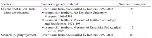 Sources of genetic material and numbers of Eastern Spot-billed Ducks and Mallards collected from Primorye, Russia.