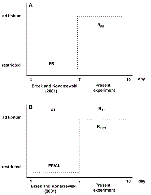 Graphic scheme of feeding regimens applied in the previous (days 4–7) and present experiment (days 7–10). (A) Between 4 and 7 days of age, some nestlings were fed with a limited amount of food (referred to as “FR group” in Brzȩk and Konarzewski 2001). In the present experiment, they were switched to an ad libitum feeding regime applied between 7 and 10 days of age and referred to as “RFR group.” (B) In the previous experiment, half the remaining nestlings (FR/AL group) were fed with a limited amount of food (dashed line). Their nest mates (AL group) were fed ad libitum (solid line). That treatment simulated differences in food supply occurring in asynchronously hatched broods facing food shortage. In the present experiment, nestlings from the former FR/AL and AL group were all fed ad libitum between 7 and 10 days of age, and referred to as “RFR/AL” and “RAL” groups, respectively.