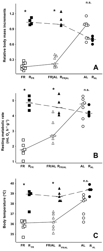(A) Body-mass increments (expressed as the ratio of absolute body-mass increment to initial body mass at the beginning of the experiment), (B) final mass-specific resting metabolic rate (RMR), and (C) body temperature in Bank Swallow nestlings reported by Brzȩk and Konarzewski (2001 and present study). Horizontal bold segments denote median values, connected with dashed lines (present study) and solid lines (Brzȩk and Konarzewski 2001) to indicate trends. Open symbols denote individual nestlings from Brzȩk and Konarzewski (2001): square = FR, triangle = FR/AL, circle = AL nestlings. Closed symbols indicate nestlings from present experiment: square = RFR, triangle = RFR/AL, circle = RAL nestlings. Stars indicate significant difference between corresponding groups from Brzȩk and Konarzewski (2001) and present study.; n.s. = difference not significant by Kruskall-Wallis test followed by false-discovery-rate procedure.