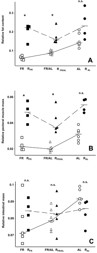 (A) Lean dry body-mass-specific fat mass, (B) body-mass-specific pectoral muscle mass, and (C) body-mass-specific intestinal mass in Bank Swallow nestlings reported by Brzȩk and Konarzewski (2001) and present study. For explanation of symbols used, see Figure 2 caption.