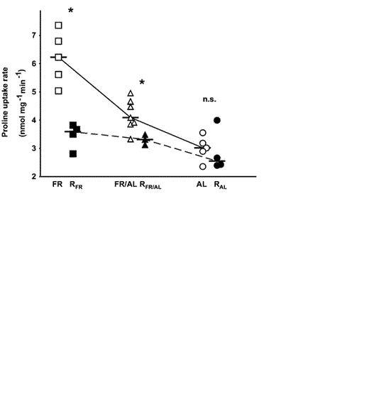 Intestinal L-proline uptake rate in proximal part of small intestines of Bank Swallow nestlings reported by Brzȩk and Konarzewski (2001) and present study. For explanation of symbols used, see Figure 2 caption.
