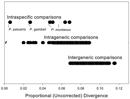 Relative ranges of divergence for intraspecific, intrageneric, and intergeneric comparisons of cytochrome b among parids. “Intrageneric comparisons” are between species in the same parid subgenus and “intergeneric comparisons” are between parid species in different parid subgenera