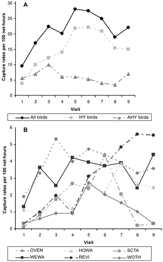 Relationship between captures (per 100 net-hours) and visits for (A) all mature-forest birds during the postbreeding period (All birds), HY birds, and postbreeding AHY birds (AHY birds) and (B) for Ovenbird (OVEN), Worm-eating Warbler (WEWA), Hooded Warbler (HOWA), Red-eyed Vireo (REVI), Scarlet Tanager (SCTA), and Wood Thrush (WOTH) in clearcuts in southeastern Ohio, 2002 and 2003.