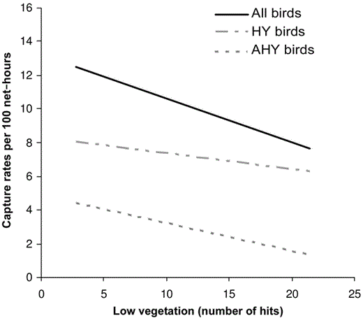 Relationship between density of low vegetation (number of vegetation hits per 0.5–1.5 m) and captures (per 100 net-hours) of all mature-forest postbreeding birds (All birds: Y = −0.2587x), HY (Y = −0.0937x + 8.3298), and postbreeding AHY birds (AHY birds, Y = −0.165x + 4.8746) in southeastern Ohio, 2002 and 2003.