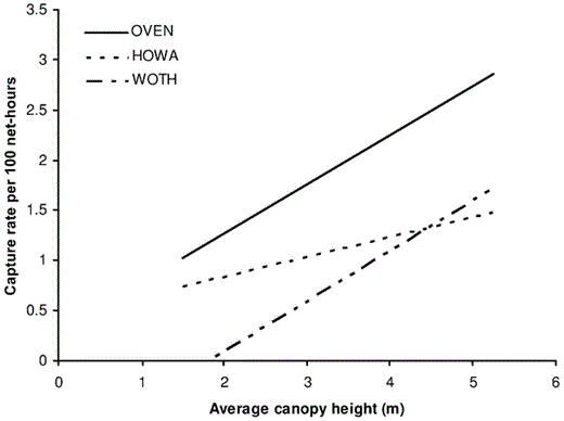Captures (per 100 net-hours) compared with canopy height for Ovenbird (Y = 0.4895x + 0.2914), Hooded Warbler (Y = 0.1956x + 0.4528), and Wood Thrush (Y = 0.4995x − 0.9033) in southeastern Ohio, 2002 and 2003.