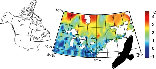 Mean air-temperature changes across eastern North America from 1985 to 2012. Locations of the raptor-migration watch sites used in the study are indicated with solid and open circles, squares, triangles, and diamonds (for details and full names of sites, see Supplemental Material). We also added the spring migration sites of Sullivan et al. (2016; denoted by stars), since we combined these data to calculate breeding-area residence time (BART). Spring estimates are not available for Peregrine Falcon and Black Vulture.