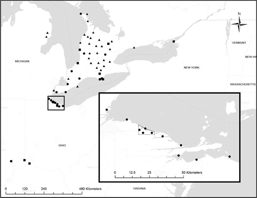 Location of the study site on Lake Erie in northwest Ohio, USA (Ottawa National Wildlife Refuge–Magee Marsh State Wildlife Area), and of automated telemetry towers that detected Rusty Blackbirds. Towers that detected birds are represented by triangles for spring, squares for fall, and circles for both spring and fall detections. The study site where birds were captured is outlined in black within the inset map. The four towers within the study site are the “local” array; the other towers within the inset map make up the “regional” array. All other towers are part of the broader Motus Wildlife Tracking System.
