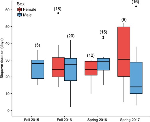 Box plots representing quartiles and medians of stopover duration (days) for tagged female (red) and male (blue) Rusty Blackbirds during each study season in western Lake Erie, Ohio, USA. Numbers in parentheses are sample size. None of the differences in stopover length between sexes or between seasons were significant (all P > 0.05).
