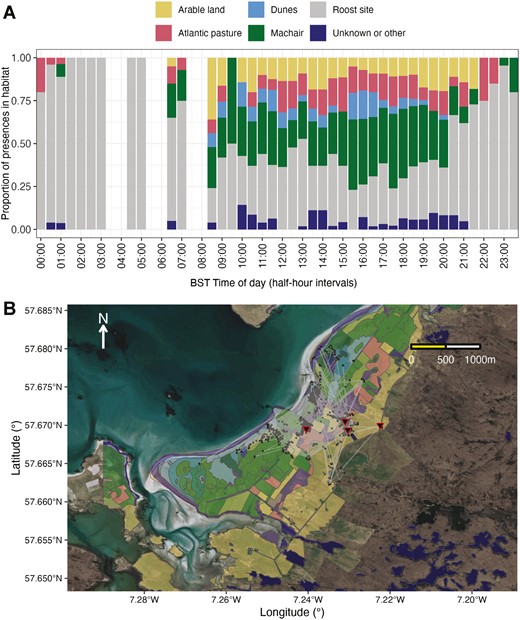 A figure showing habitat use in the GPS tagged Rock Doves. Part A is a bar chart showing habitat use for each hour of the day. Part B is a map with habitat use colour-coded, showing the presence of GPS tagged doves in different habitats.
