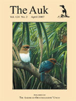 The Auk Cover Image for Volume 124, Issue 2
