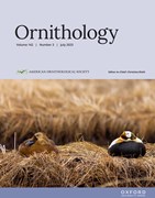 Ornithology Cover Image