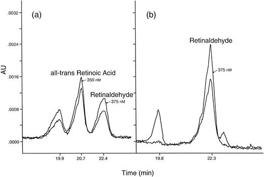 Fig. 4. Retinoid metabolism by blastema extracts incubated with retinaldehyde substrate in the presence of or in the absence of the inhibitor, Citral. (800 Uca limb blastemas were extracted four days after autotomy in HEPES (pH 7.35) and centrifuged. To supernatant was added 375 mM KCl, 2 uM retinaldehyde, 2 mM NAD+ and 2 mM dTT—with and without 2 mM Citral (Sigma). Solutions were incubated in glass vials at 4°C for 24 hr in the dark. The resulting retinoids were extracted and analyzed as described in Fig. 3.) Two UV wavelengths were used to simultaneously monitor the HPLC effluent and to help identify the peaks—350 nm for retinoic acid and 375 nm for retinaldehyde