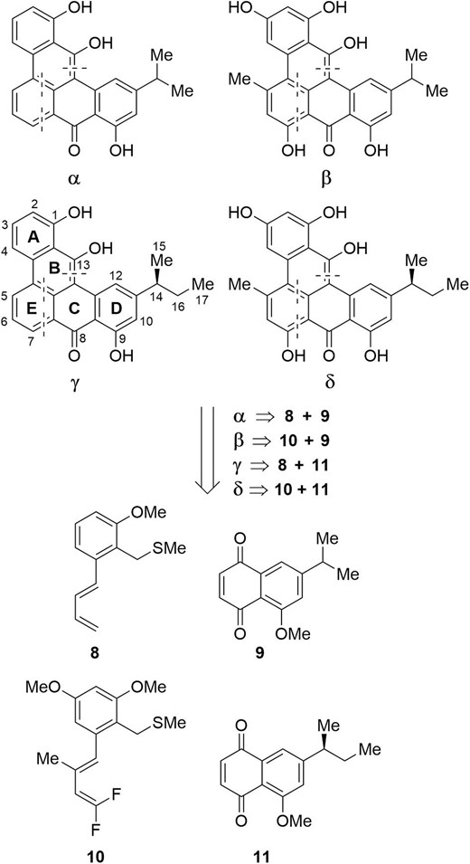 Ligands of borolithochromes and a strategy of the divergent synthesis.