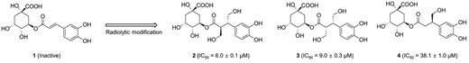 Novel NO production inhibitors modified from γ-ray-induced chlorogenic acid.