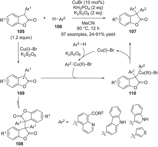 Cu-catalyzed catalytic dehydrogenative arylation of benzofuranones.