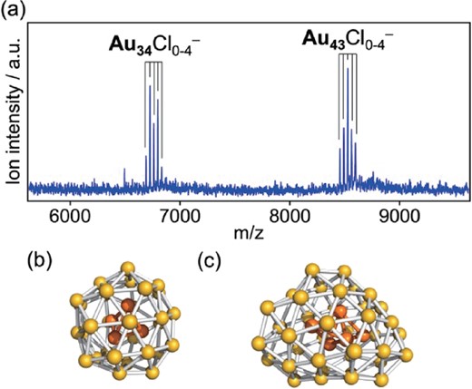 (a) MALDI mass spectrum of Au:PVP. Proposed structures of isolated (b) Au34 and (c) Au43 based on gas phase experiments and DFT calculations.50–52 The Au4 and Au5 cores are highlighted in orange.